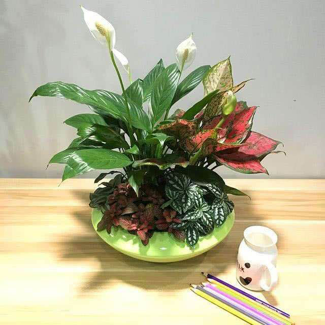 一帆風順