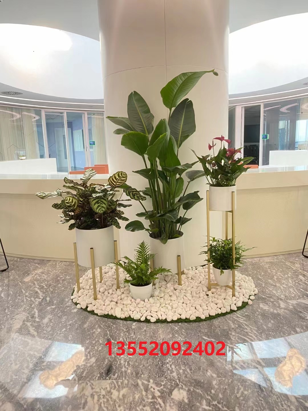 ?綠植租賃公司哪家好？如何選擇綠植租賃公司？