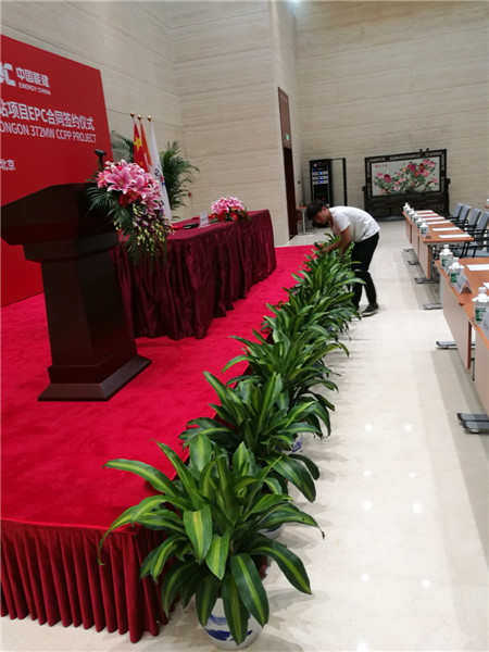 矮牽牛冬天怎么養(yǎng)？注意這5個(gè)養(yǎng)護(hù)細(xì)節(jié)，就能安全越冬！